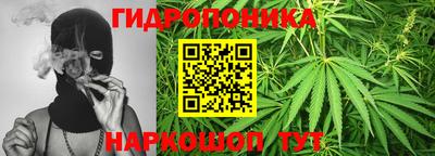 ешки Краснознаменск