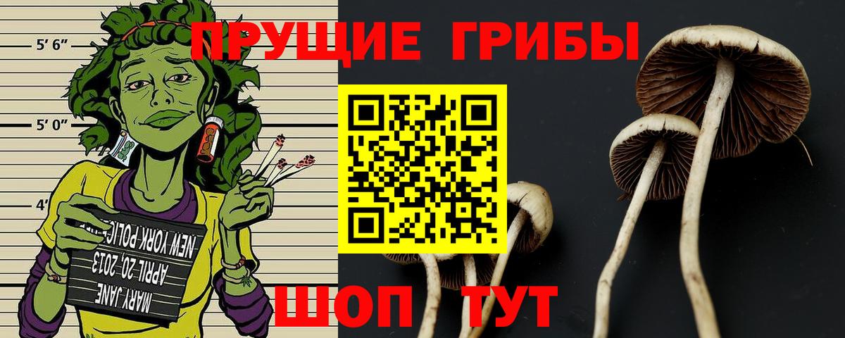 Псилоцибиновые грибы мухоморы Камышлов