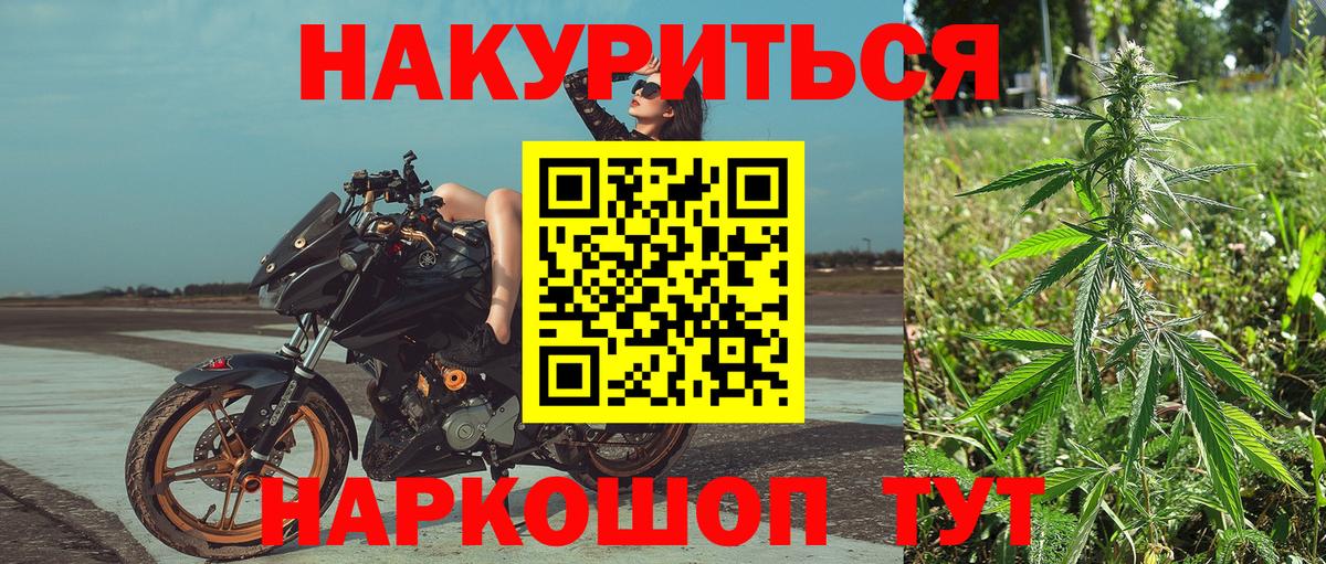 Камышлов  Конопля планчик  Конопля гибрид  Вход с VPN  Шишки марихуана семена 